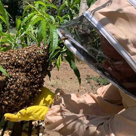 Agriturismo Il Sorbino - Appartamento Da Cocca Pian d'Alma Esterno foto