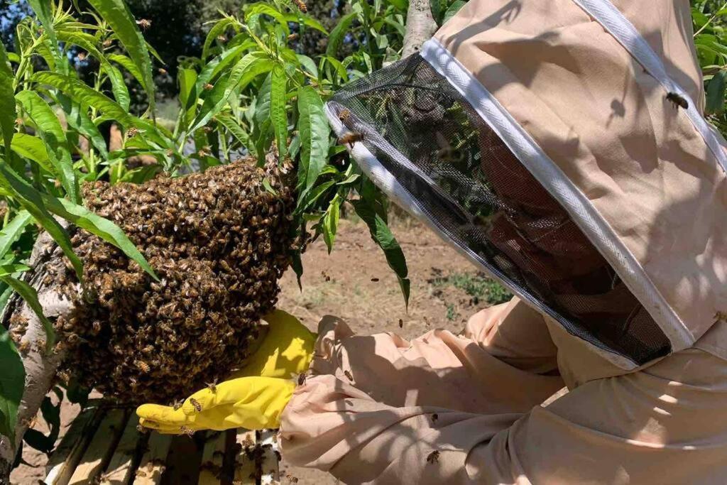 Agriturismo Il Sorbino - Appartamento Da Cocca Pian d'Alma Esterno foto