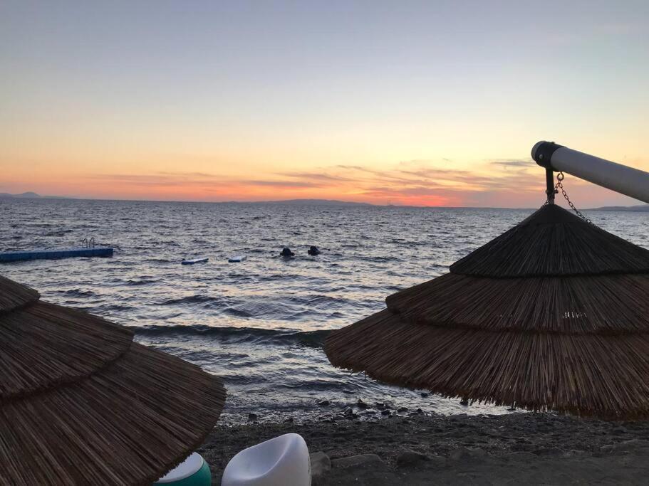 Agriturismo Il Sorbino - Appartamento Da Cocca Pian d'Alma Esterno foto