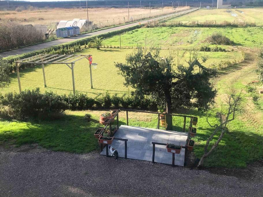 Agriturismo Il Sorbino - Appartamento Da Cocca Pian d'Alma Esterno foto